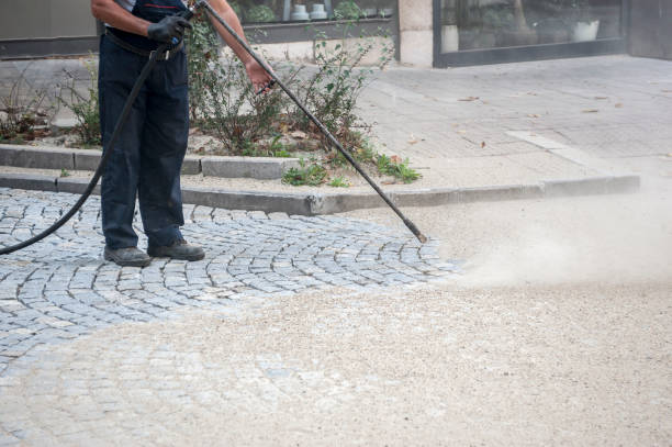 Animal Enclosure Cleaning in Breckenridge, MI